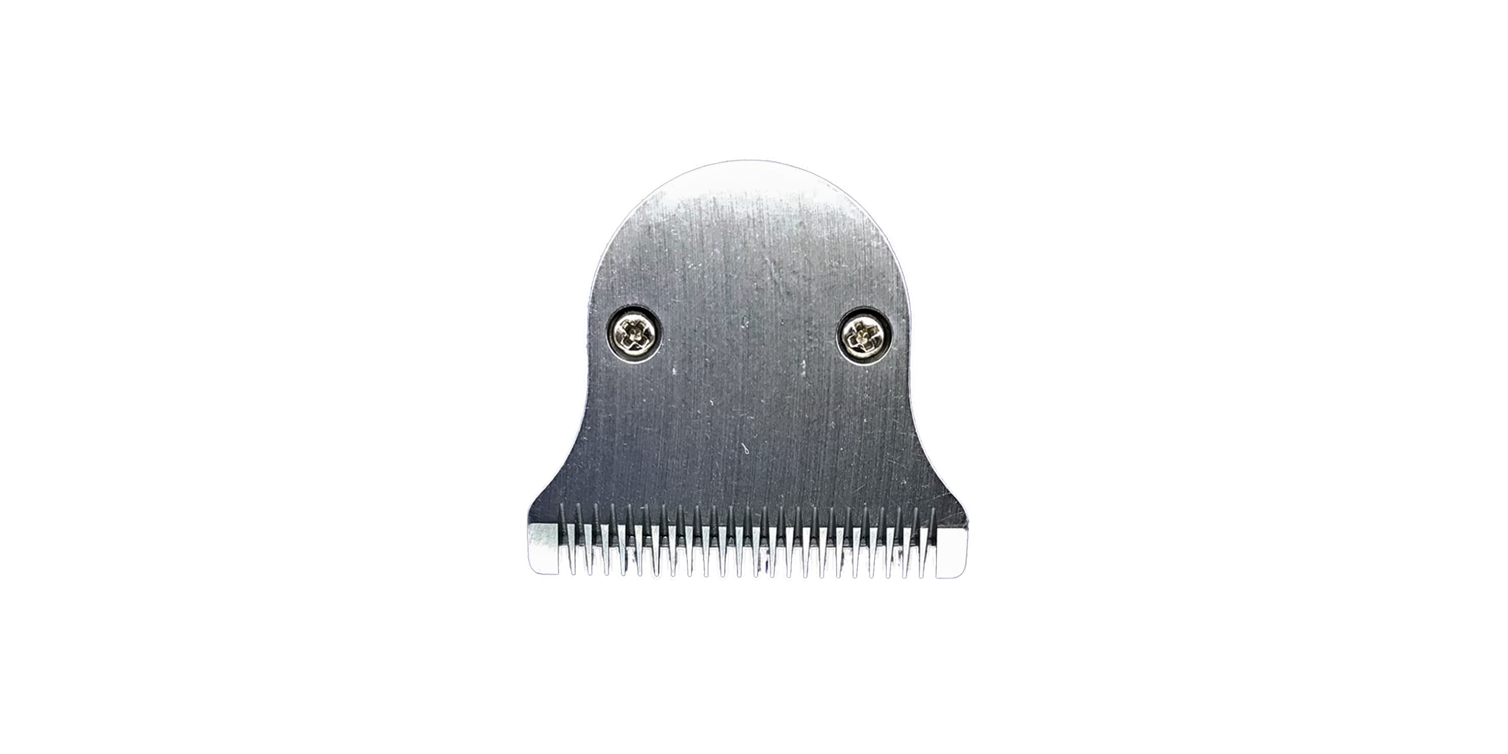 Schneideplatte einer Haarschneidemaschine.